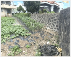  2025Ÿ��1488 ���� �������� ������ �ϸ� 2121-62      ����(��1)���