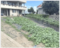  2025Ÿ��1488 ���� �������� ������ �ϸ� 2121-62      ����(��1)���