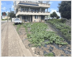  2025Ÿ��1488 ���� �������� ������ �ϸ� 2121-62      ����(��1)���