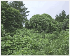  2025Ÿ��1696 ���� �������� �ȴ��� ��õ�� 726-2      ����(�Ӿ�)���