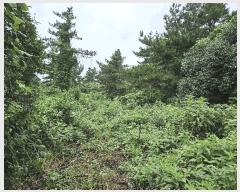  2025Ÿ��1696 ���� �������� �ȴ��� ��õ�� 726-2      ����(�Ӿ�)���