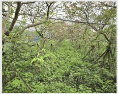  2025Ÿ��1696 ���� �������� �ȴ��� ��õ�� 726-2      ����(�Ӿ�)���