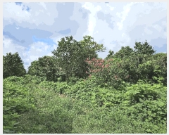  2025Ÿ��1696 ���� �������� �ȴ��� ��õ�� 726-2      ����(�Ӿ�)���