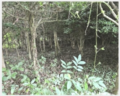  2025Ÿ��1696 ���� �������� �ȴ��� ��õ�� 726-2      ����(�Ӿ�)���