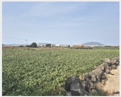  2025Ÿ6044     1703-13      (1)