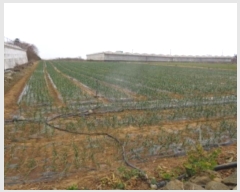  2025Ÿ6044     1703-13      (1)