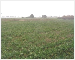  2025Ÿ6044     1703-13      (1)