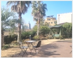  2025Ÿ6310  ֽ õ õ 992-7      ð