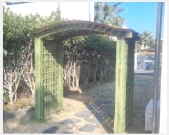  2025Ÿ6310  ֽ õ õ 992-7      ð