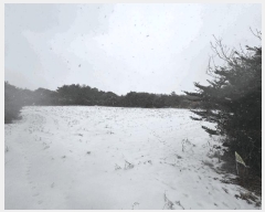  2025Ÿ6808    ޸ 1685      (Ӿ)