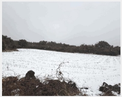  2025Ÿ6808    ޸ 1685      (Ӿ)