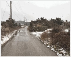  2025Ÿ6808    ޸ 1685      (Ӿ)