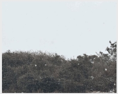  2025Ÿ6808    ޸ 1685      (Ӿ)