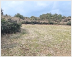  2025Ÿ6808    ޸ 1685      (Ӿ)