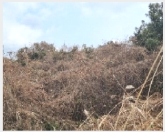  2025Ÿ6808    ޸ 1685      (Ӿ)