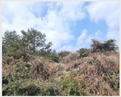  2025Ÿ6808    ޸ 1685      (Ӿ)