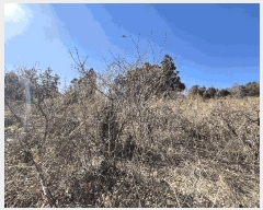  2025Ÿ��7252  �����