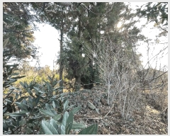  2025Ÿ��7252  �����