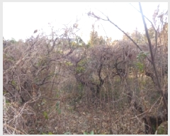  2025Ÿ��7252  �����