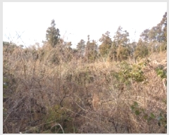  2025Ÿ��7252  �����