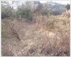  2025Ÿ��7252  �����