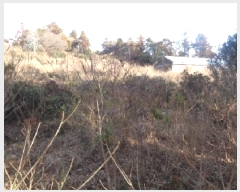  2025Ÿ��7252  �����