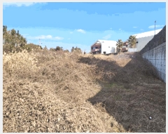  2025Ÿ7476     430-10      ()