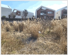  2025Ÿ7476     430-10      ()