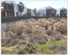  2025Ÿ7476     430-10      ()