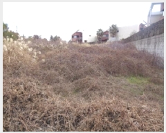  2025Ÿ7476     430-10      ()