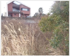  2025Ÿ7476     430-10      ()