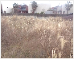  2025Ÿ7476     430-10      ()