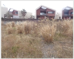  2025Ÿ7476     430-10      ()