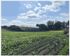  2025Ÿ��7485  �����