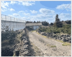  2025Ÿ��7485  �����