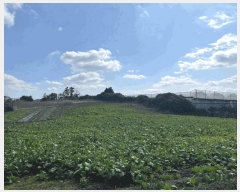  2025Ÿ��7485  �����