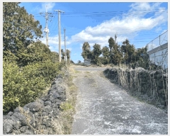  2025Ÿ��7485  �����