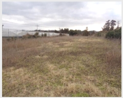  2025Ÿ��7485  �����