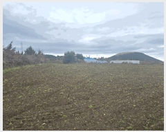  2025Ÿ7592  ֽ Ѹ ݾǸ 696-2      (Ӿ)