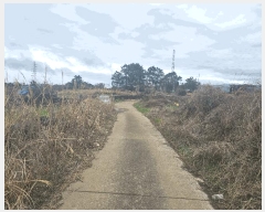  2025Ÿ7592  ֽ Ѹ ݾǸ 696-2      (Ӿ)