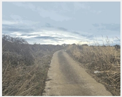  2025Ÿ7592  ֽ Ѹ ݾǸ 696-2      (Ӿ)