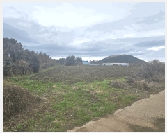  2025Ÿ7592  ֽ Ѹ ݾǸ 696-2      (Ӿ)