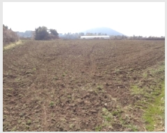  2025Ÿ7592  ֽ Ѹ ݾǸ 696-2      (Ӿ)