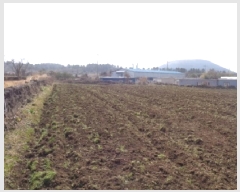  2025Ÿ7592  ֽ Ѹ ݾǸ 696-2      (Ӿ)