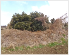  2025Ÿ7592  ֽ Ѹ ݾǸ 696-2      (Ӿ)