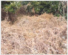  2025Ÿ7592  ֽ Ѹ ݾǸ 696-2      (Ӿ)