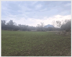  2025Ÿ��7609  �Ӿ߰��