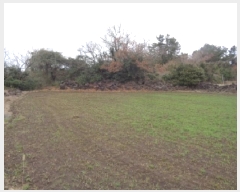  2025Ÿ��7609  �Ӿ߰��