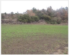  2025Ÿ��7609  �Ӿ߰��