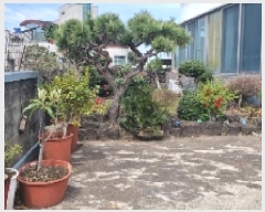  2025Ÿ��7646 ���� ���ֽ� ������ ��縮 1789      ���ð��